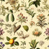 Nature Flourish Wallpaper #534